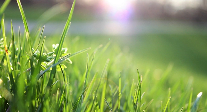 Producción verde, ahorro energético y reducción de emisiones