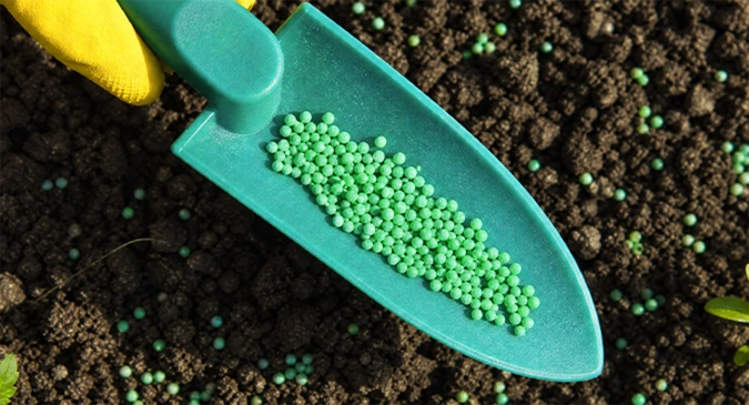 Innovación tecnológica, productos ecológicos